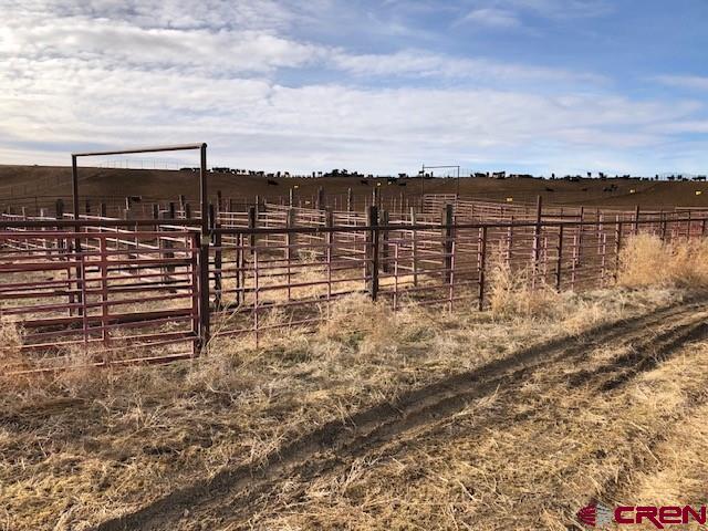 1862 9 Road Mack, CO 81525 - Photo 6 of 26