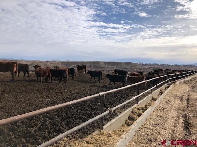 1862 9 Road Mack, CO 81525 - Photo 10 of 26 a view of roof with city view