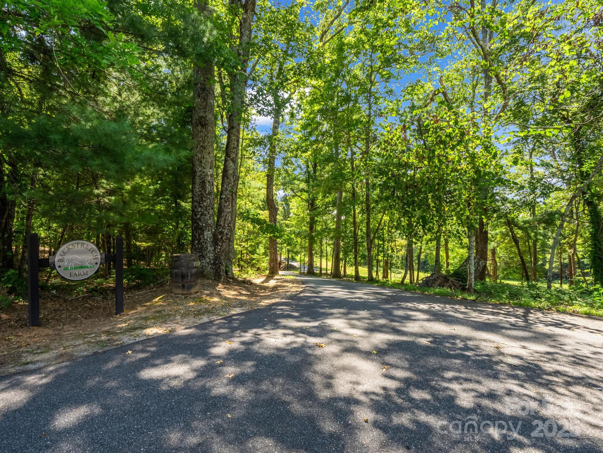 1050 Hunting Country Road Tryon, NC 28782 - Photo 2 of 48
