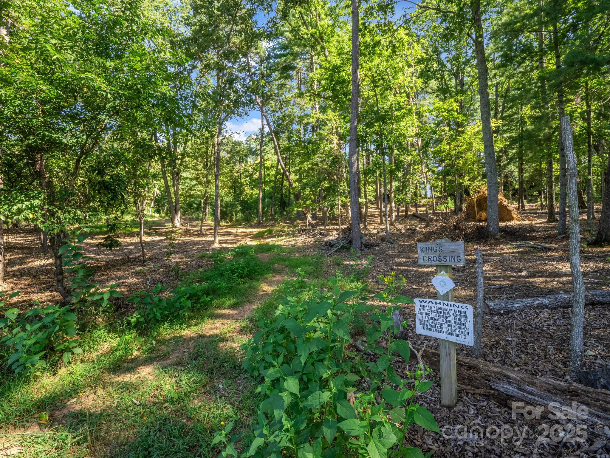 1050 Hunting Country Road Tryon, NC 28782 - Photo 40 of 48