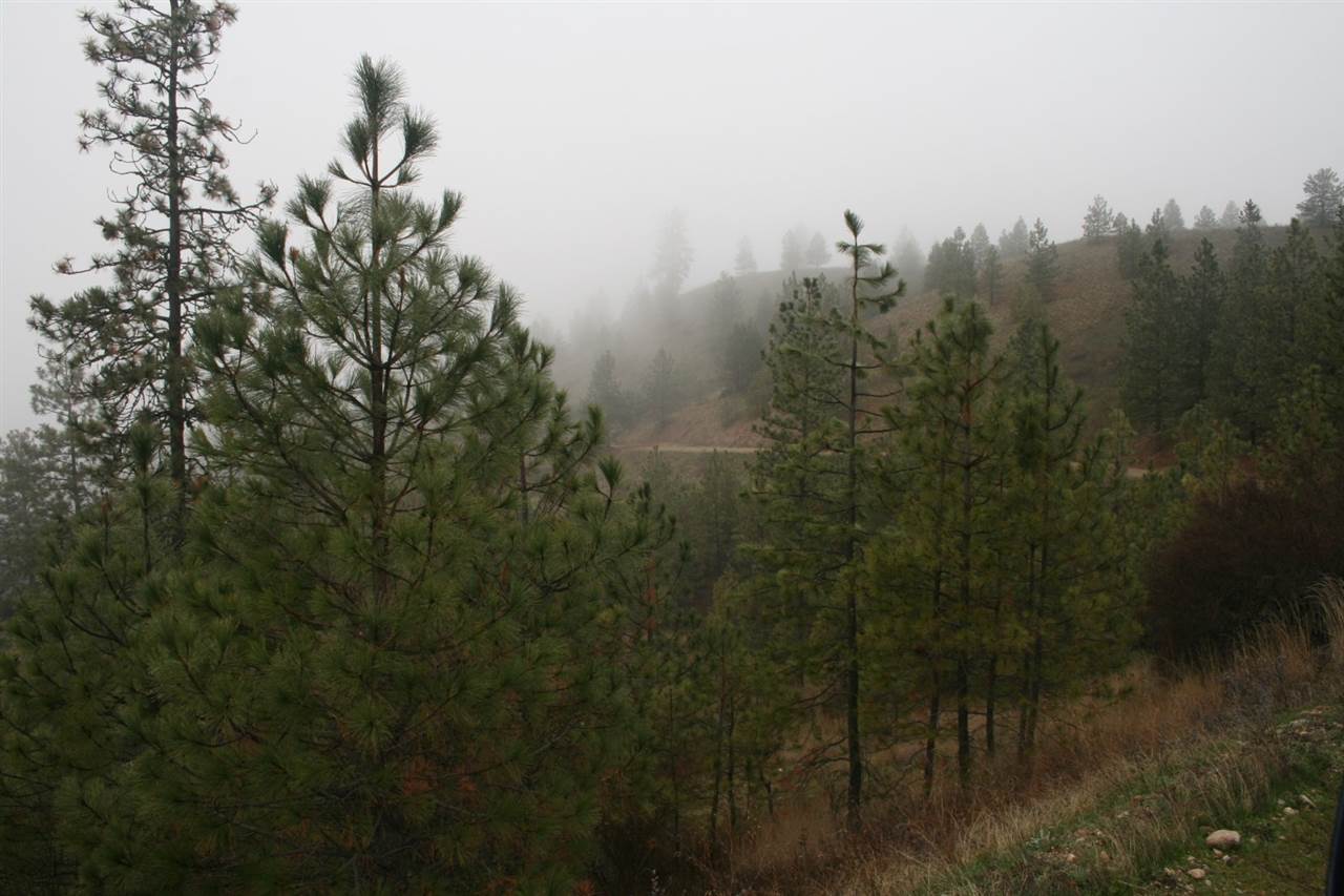 4149 Norris Road Springdale, WA 99173 - Photo 20 of 20