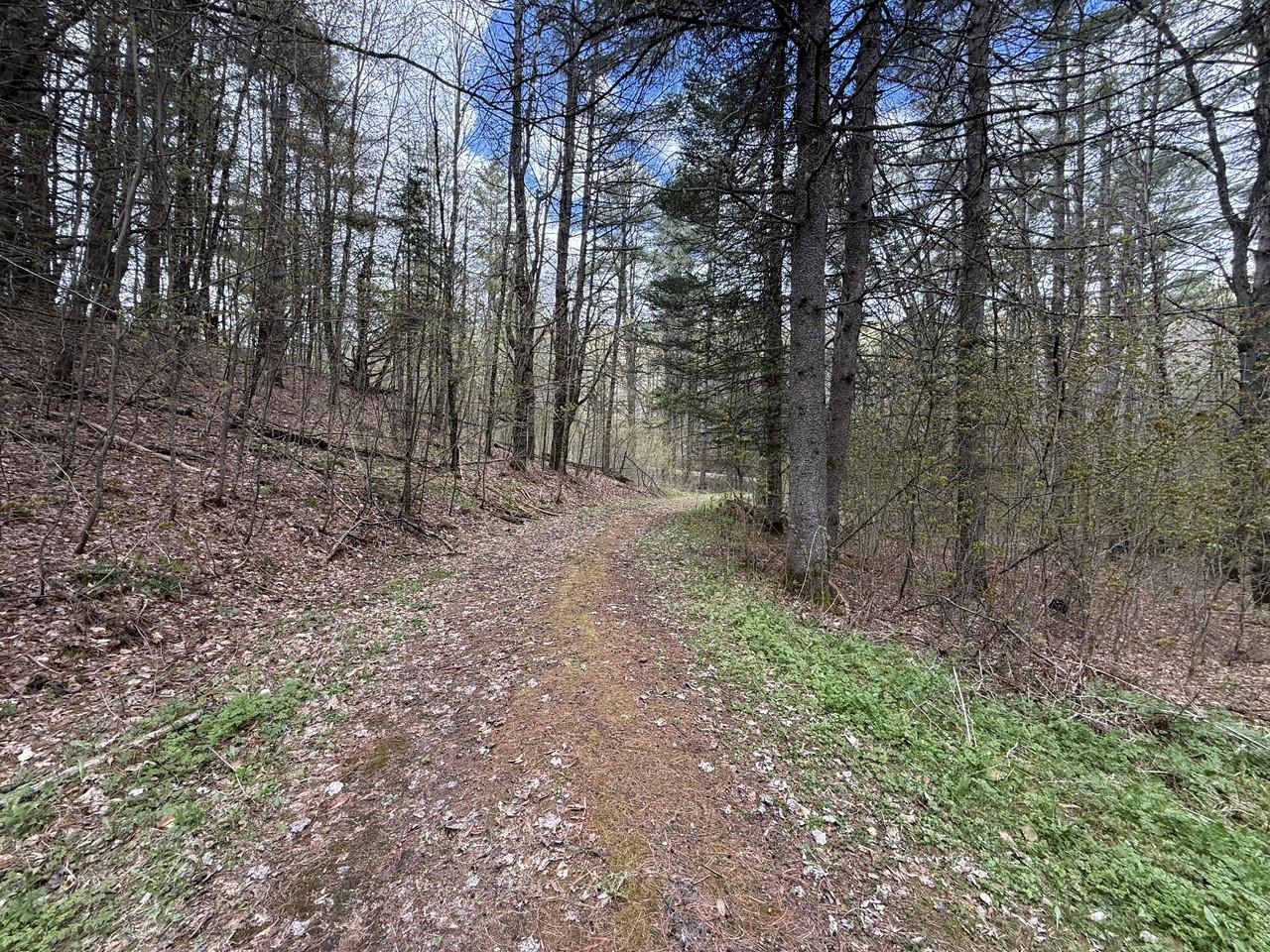 169 Jenkins Brook Road Chelsea, VT 05038 - Photo 28 of 30