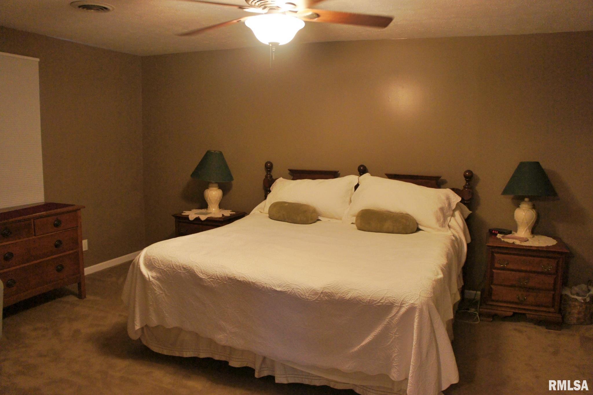 3584 Franklin Road Metropolis, IL 62960 - Photo 16 of 30