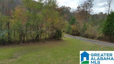 578 Browns Valley Road Pell City, AL 35128 - Photo 21 of 25