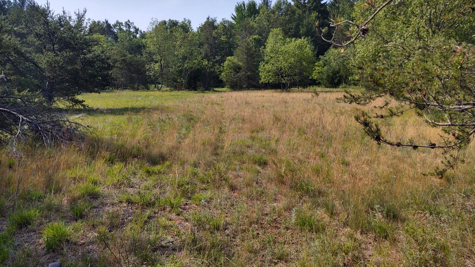 36 North Cut Road Roscommon, MI 48653 - Photo 14 of 18 Gallery Image 14