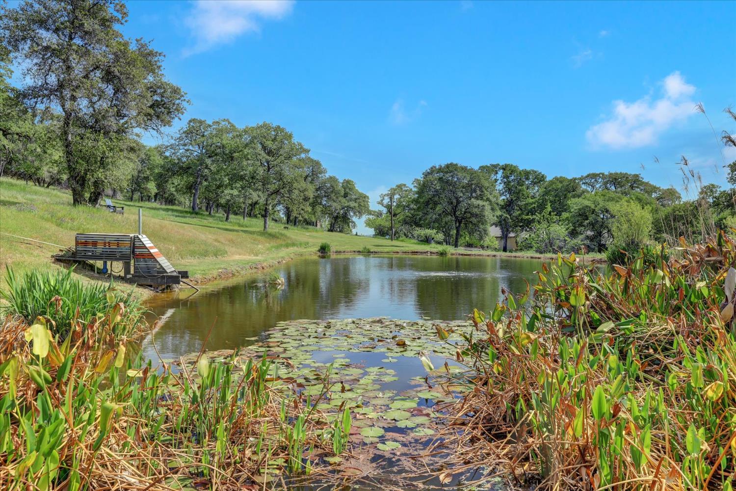 25799 Sweet Road Grass Valley, CA 95949 - Photo 3 of 99