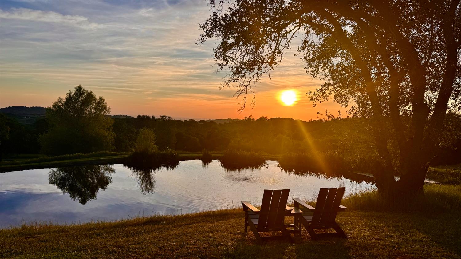 25799 Sweet Road Grass Valley, CA 95949 - Photo 53 of 99