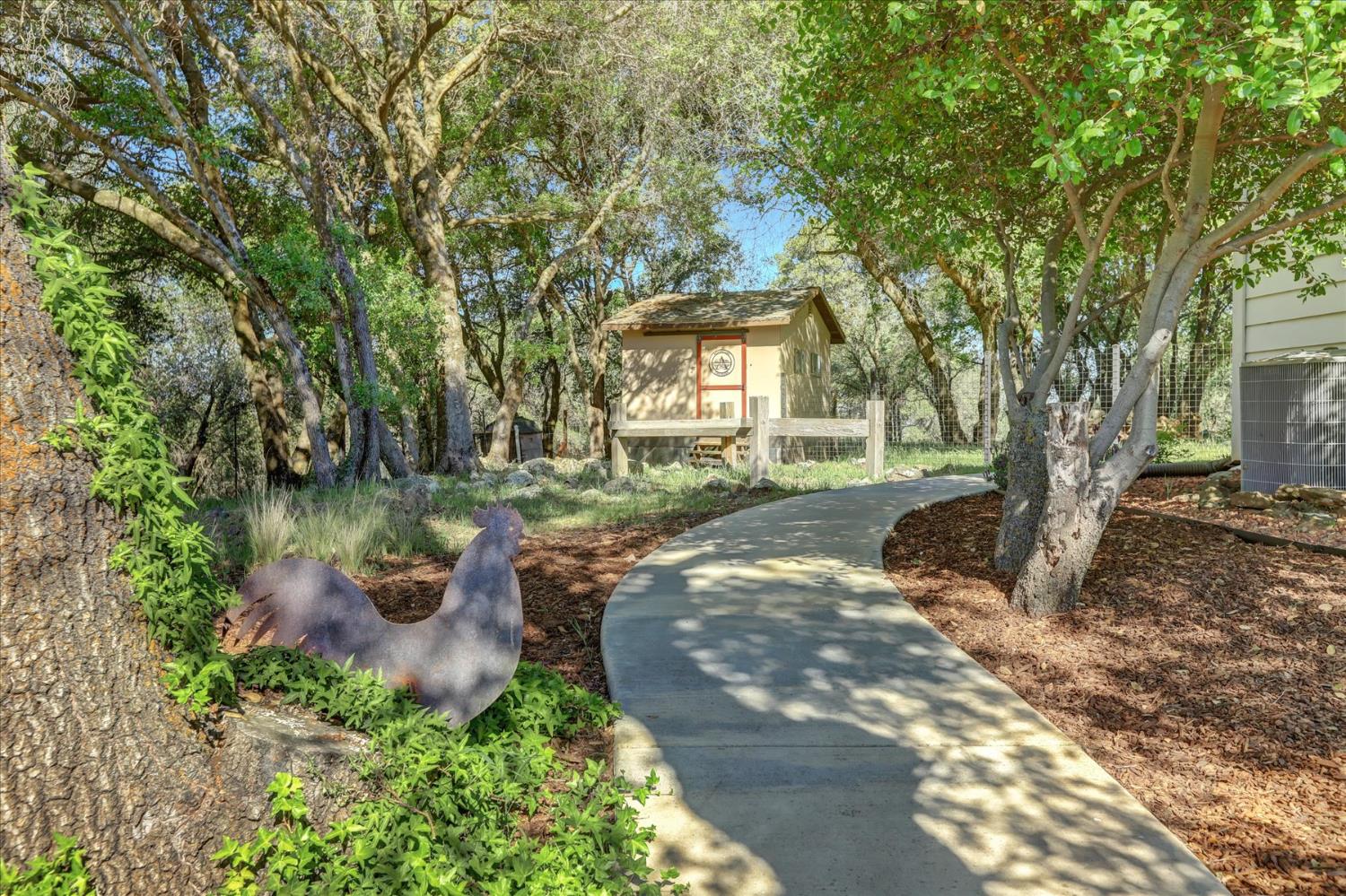 25799 Sweet Road Grass Valley, CA 95949 - Photo 74 of 99