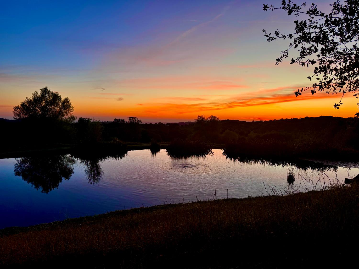 25799 Sweet Road Grass Valley, CA 95949 - Photo 79 of 99