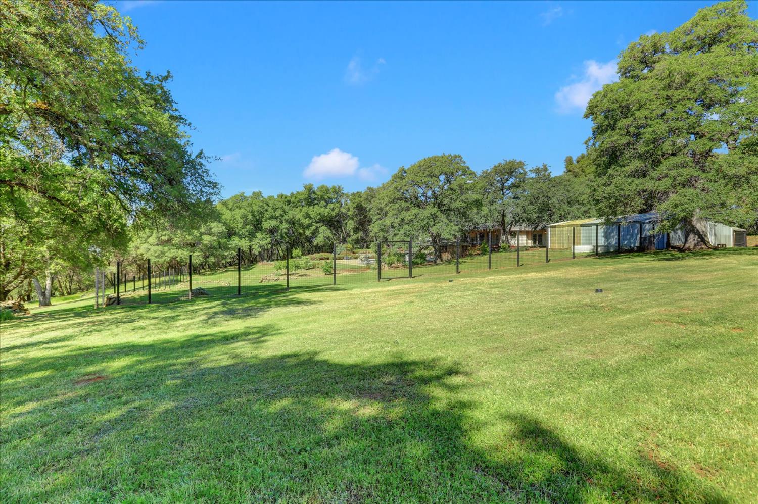 25799 Sweet Road Grass Valley, CA 95949 - Photo 81 of 99