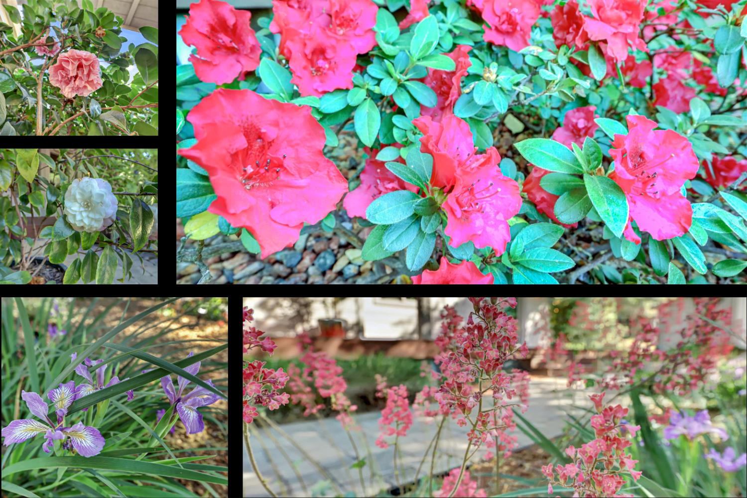 25799 Sweet Road Grass Valley, CA 95949 - Photo 88 of 99