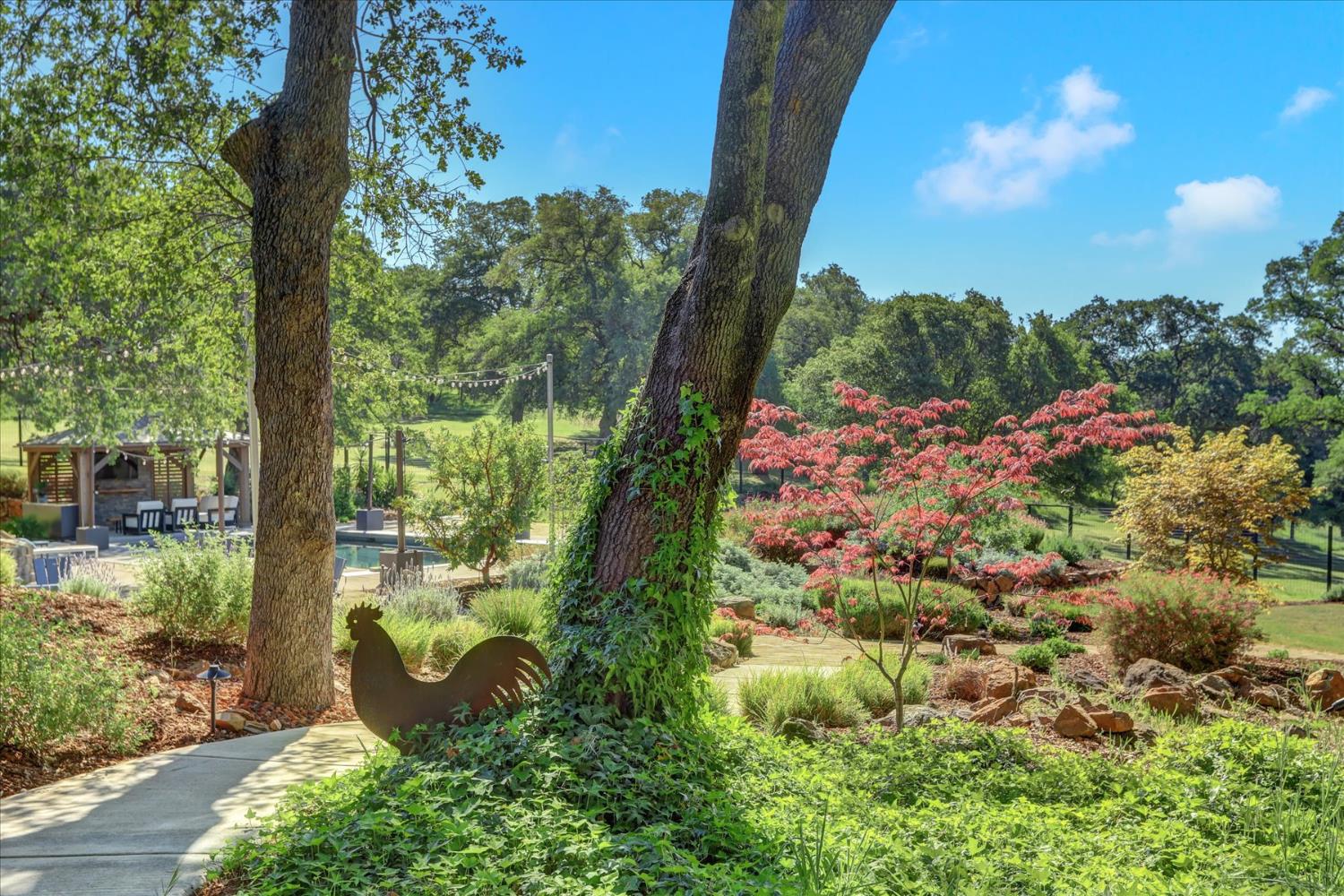 25799 Sweet Road Grass Valley, CA 95949 - Photo 89 of 99