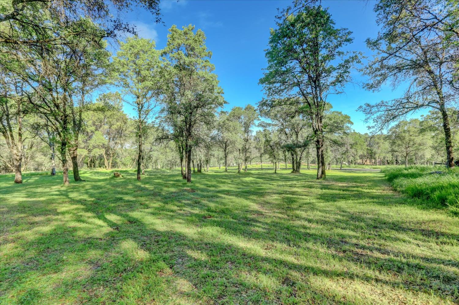 25799 Sweet Road Grass Valley, CA 95949 - Photo 92 of 99