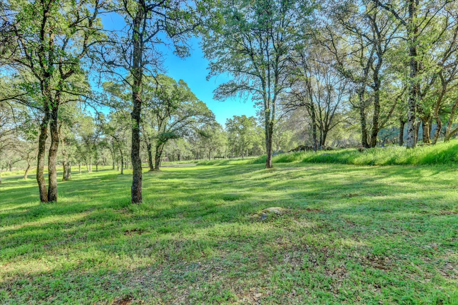 25799 Sweet Road Grass Valley, CA 95949 - Photo 93 of 99