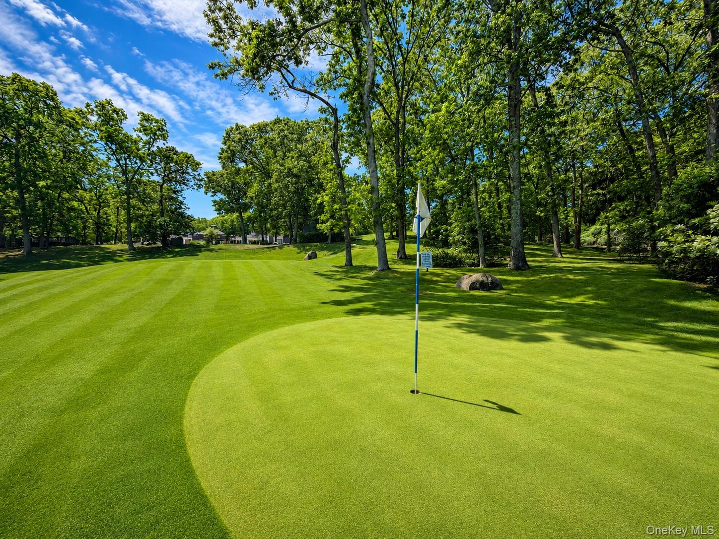 201 Birchwood Road, Unit 201 Coram, NY 11727 - Photo 23 of 27 a view of a golf course with a garden