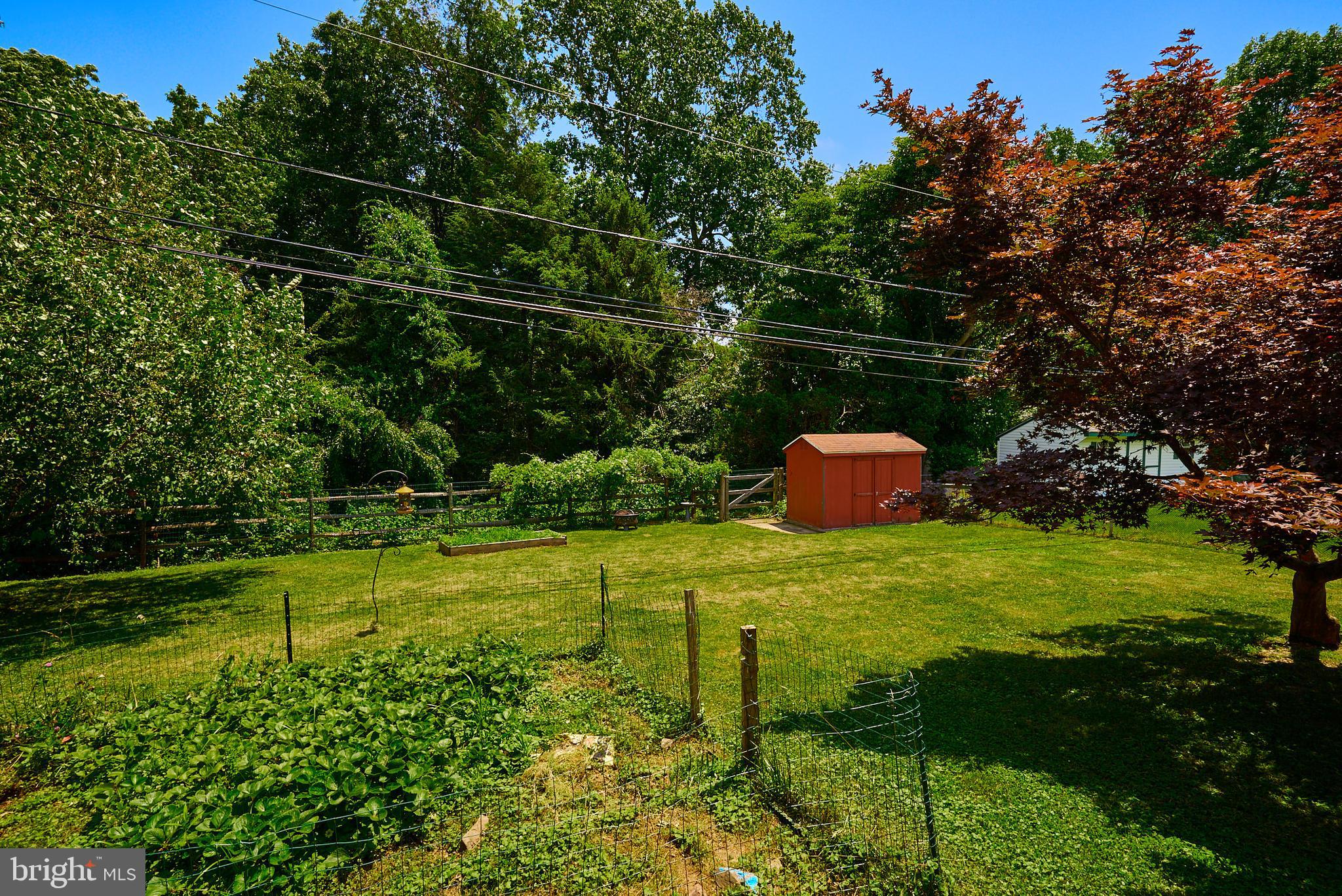 710 Cambridge Road Brookhaven, PA 19015 - Photo 27 of 28 Backyard