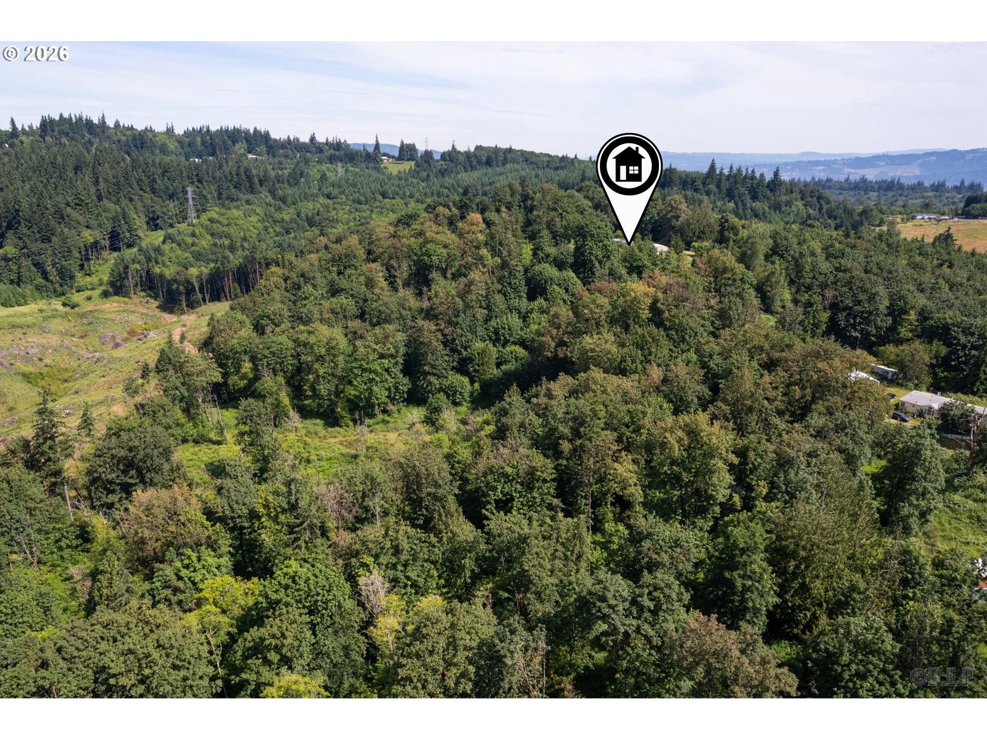 66971 Maplecrest Road Deer Island, OR 97054 - Photo 21 of 24 a view of a bunch of trees and tree