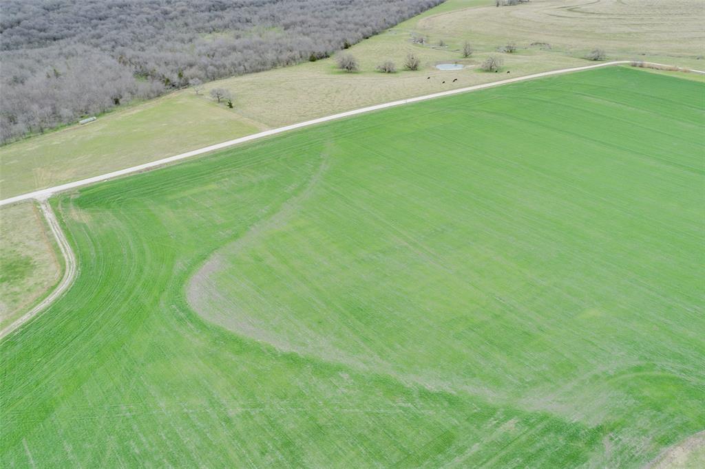 Tbd Baker Road, Unit LOT 2 Pilot Point, TX 76258 - Photo 5 of 6 a view of a field with a field