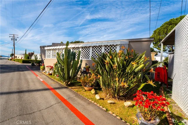 a view of a potted plant with sign on the wall