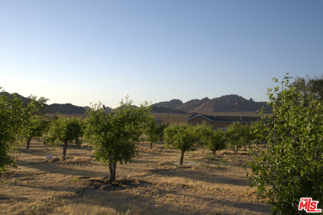 10424 Santa Fe Fire Road Lucerne Valley, CA 92356 - Photo 28 of 33 a view of a town with mountains in the background