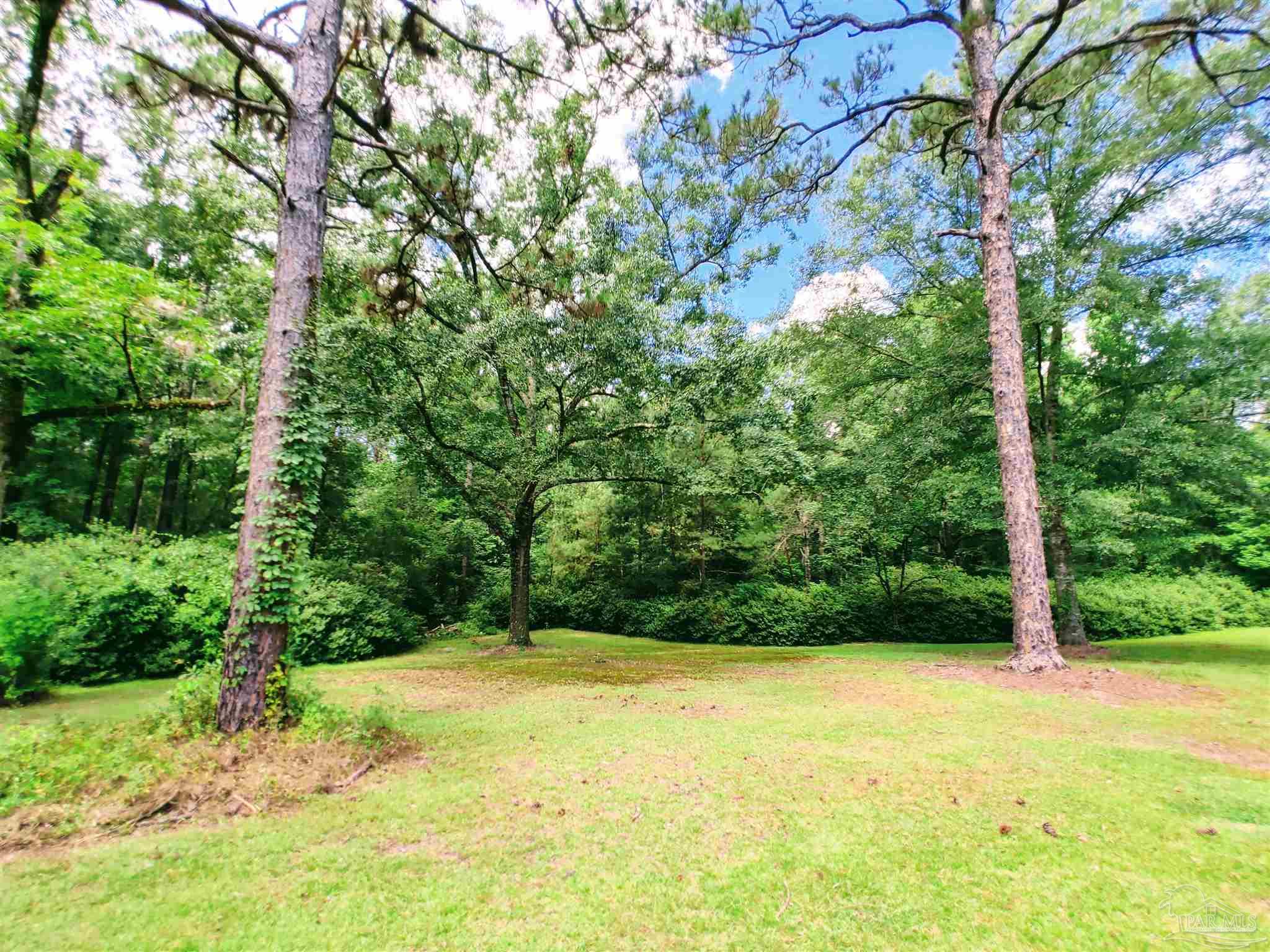 2934 Barlow Road Millry, AL 36558 - Photo 49 of 49