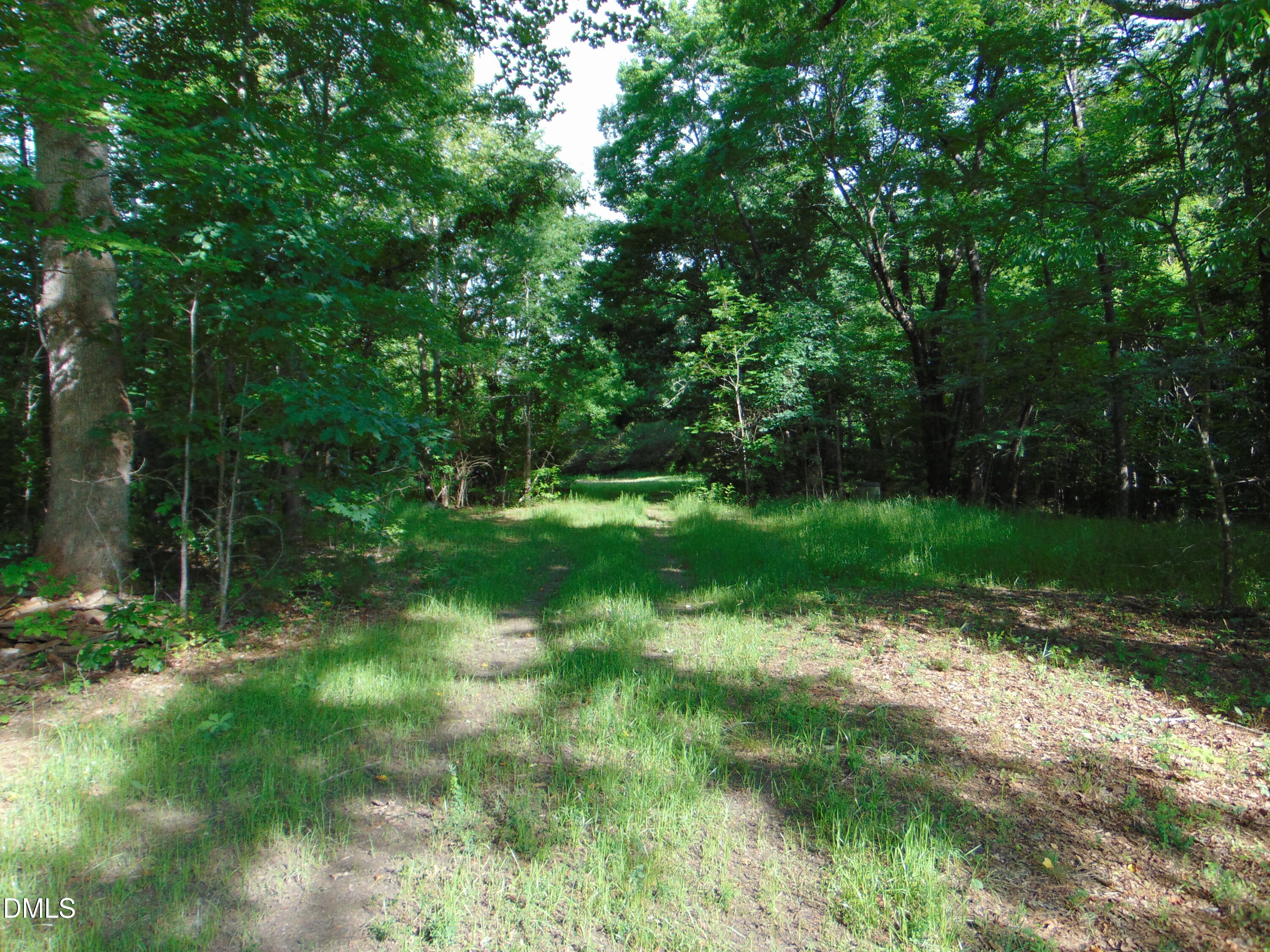 0 Walters Mill Road Providence, NC 27315 - Photo 9 of 22 DSC01566