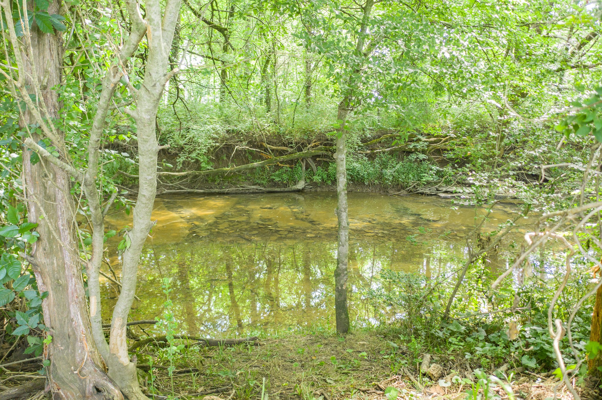 7777 Lowe Road Christiana, TN 37037 - Photo 12 of 45 Gallery Image 12