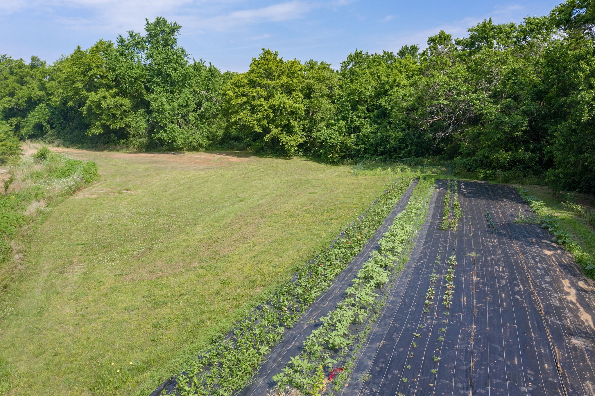 7777 Lowe Road Christiana, TN 37037 - Photo 35 of 45 Gallery Image 35
