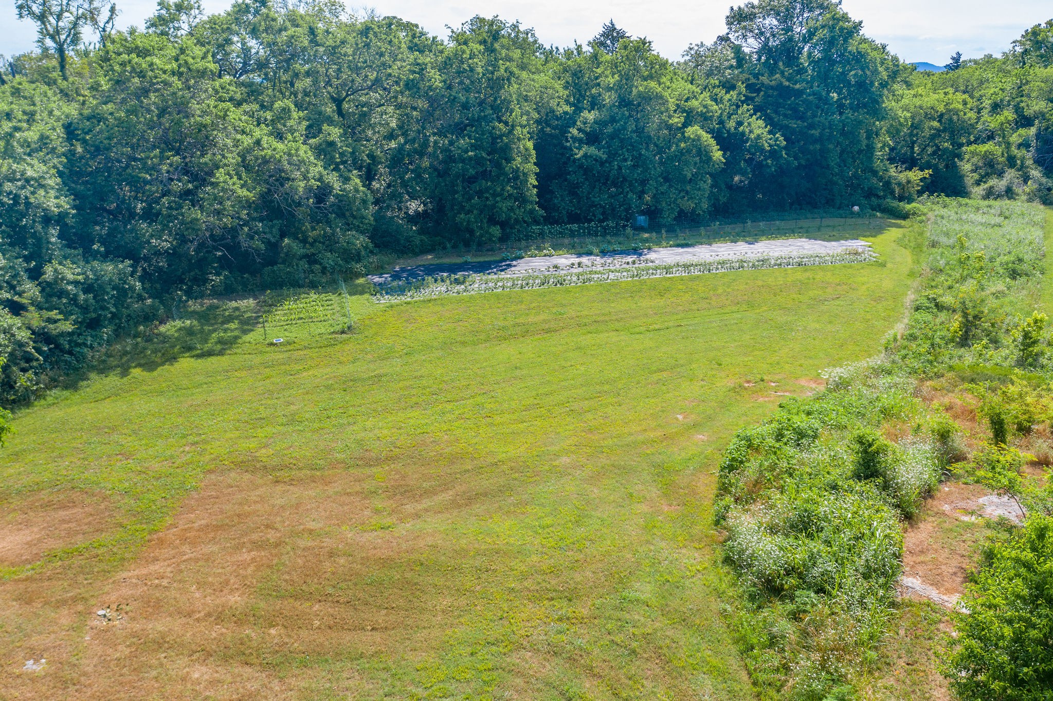 7777 Lowe Road Christiana, TN 37037 - Photo 36 of 45 Gallery Image 36