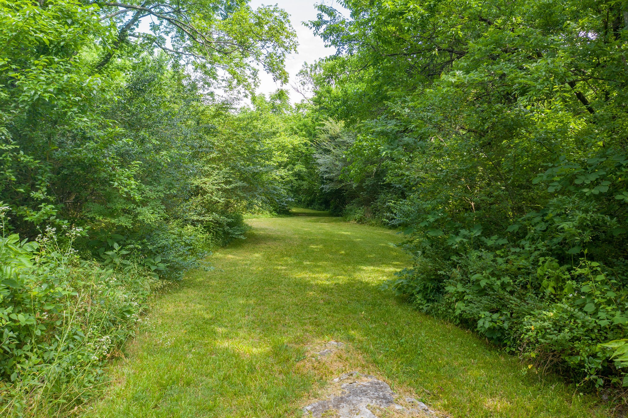 7777 Lowe Road Christiana, TN 37037 - Photo 37 of 45 Gallery Image 37
