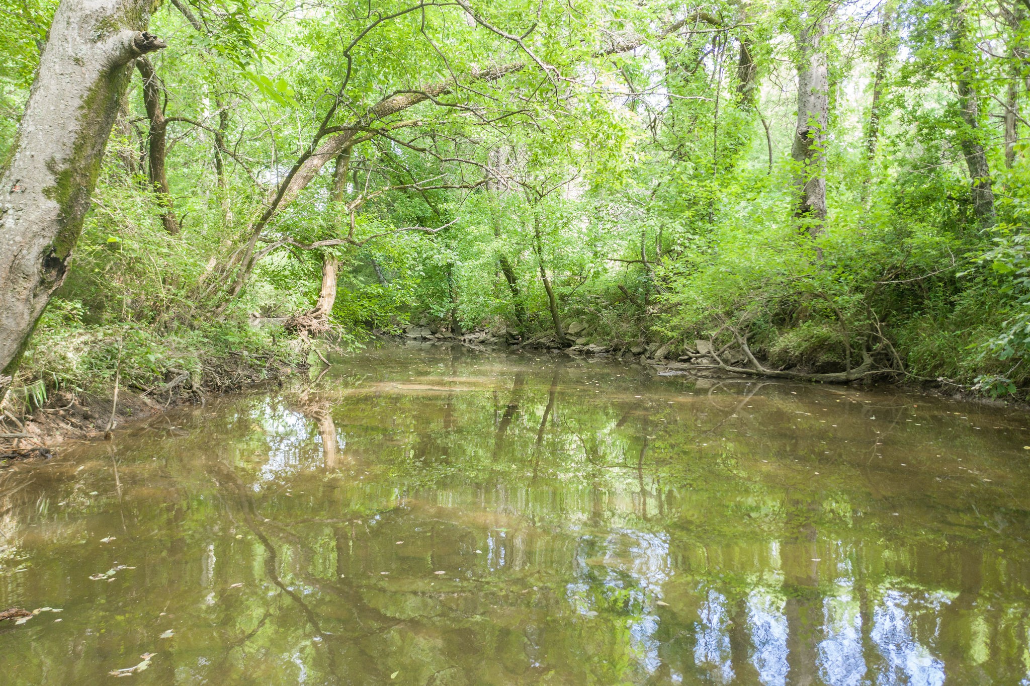 7777 Lowe Road Christiana, TN 37037 - Photo 10 of 45 Gallery Image 10