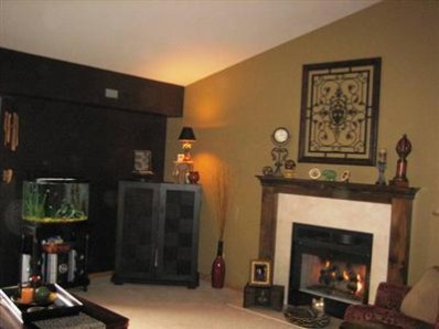 9621 Merrillville Road, Unit 301 Crown Point, IN 46307 - Photo 2 of 10 398x298