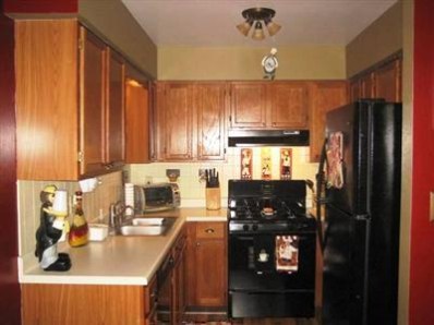 9621 Merrillville Road, Unit 301 Crown Point, IN 46307 - Photo 5 of 10 398x298
