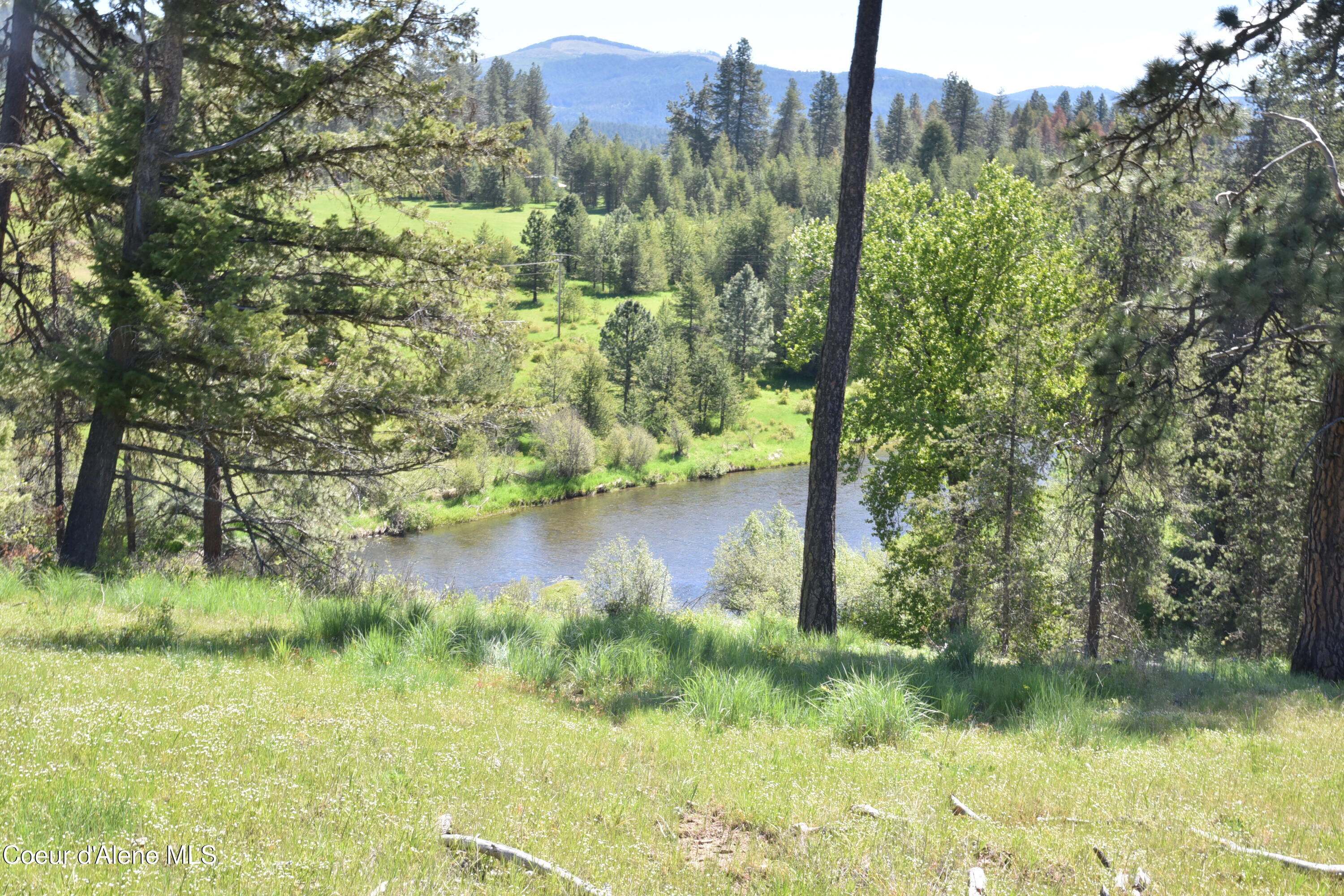 Nka Nka Tyson Creek Road St. Maries, ID 83861 - Photo 25 of 26 28