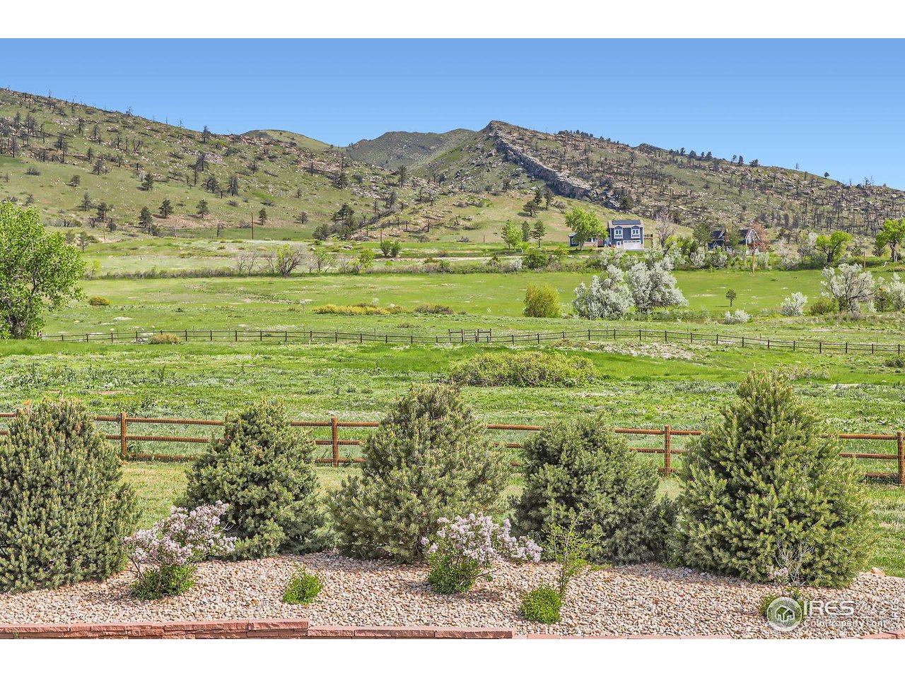 3159 Nelson Road Longmont, CO 80503 - Photo 35 of 40 Back yard looking north across the 5 acre property