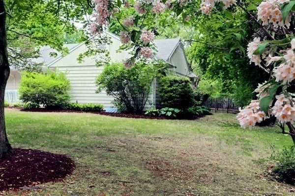 238 Forest Street Needham, MA 02492 - Photo 12 of 26 Gallery Image 12