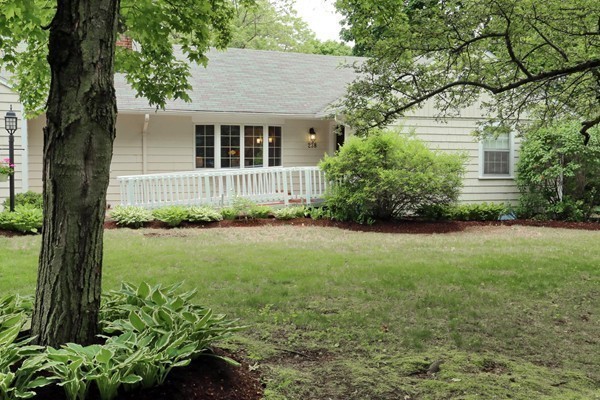 238 Forest Street Needham, MA 02492 - Photo 13 of 26 Gallery Image 13