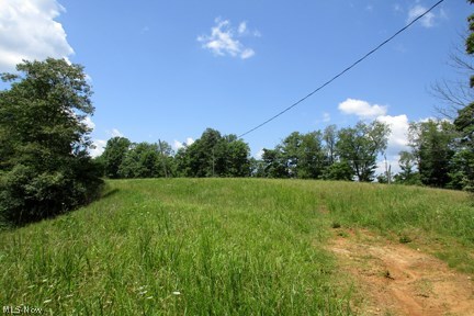Bear Run Road Cairo, WV 26337 - Photo 9 of 10
