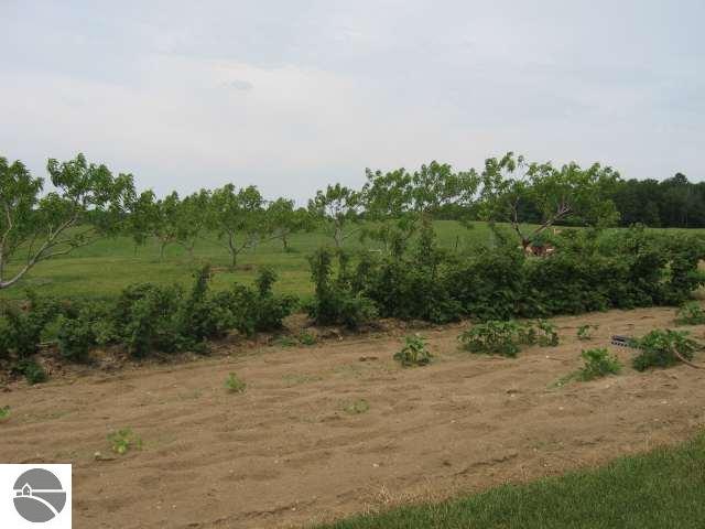 5782 Johnson Road Kingsley, MI 49649 - Photo 4 of 9 1664241-3.JPG