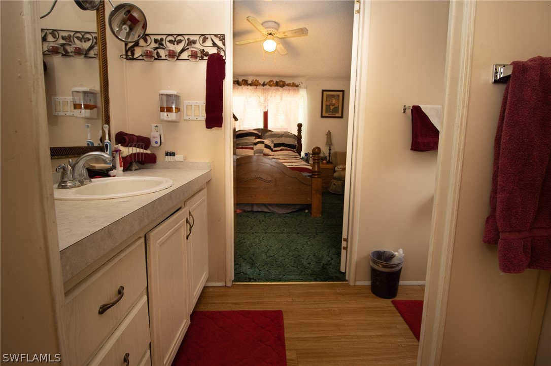 2671 Packinghouse Road Alva, FL 33920 - Photo 21 of 24 a bathroom with a sink a mirror and shower