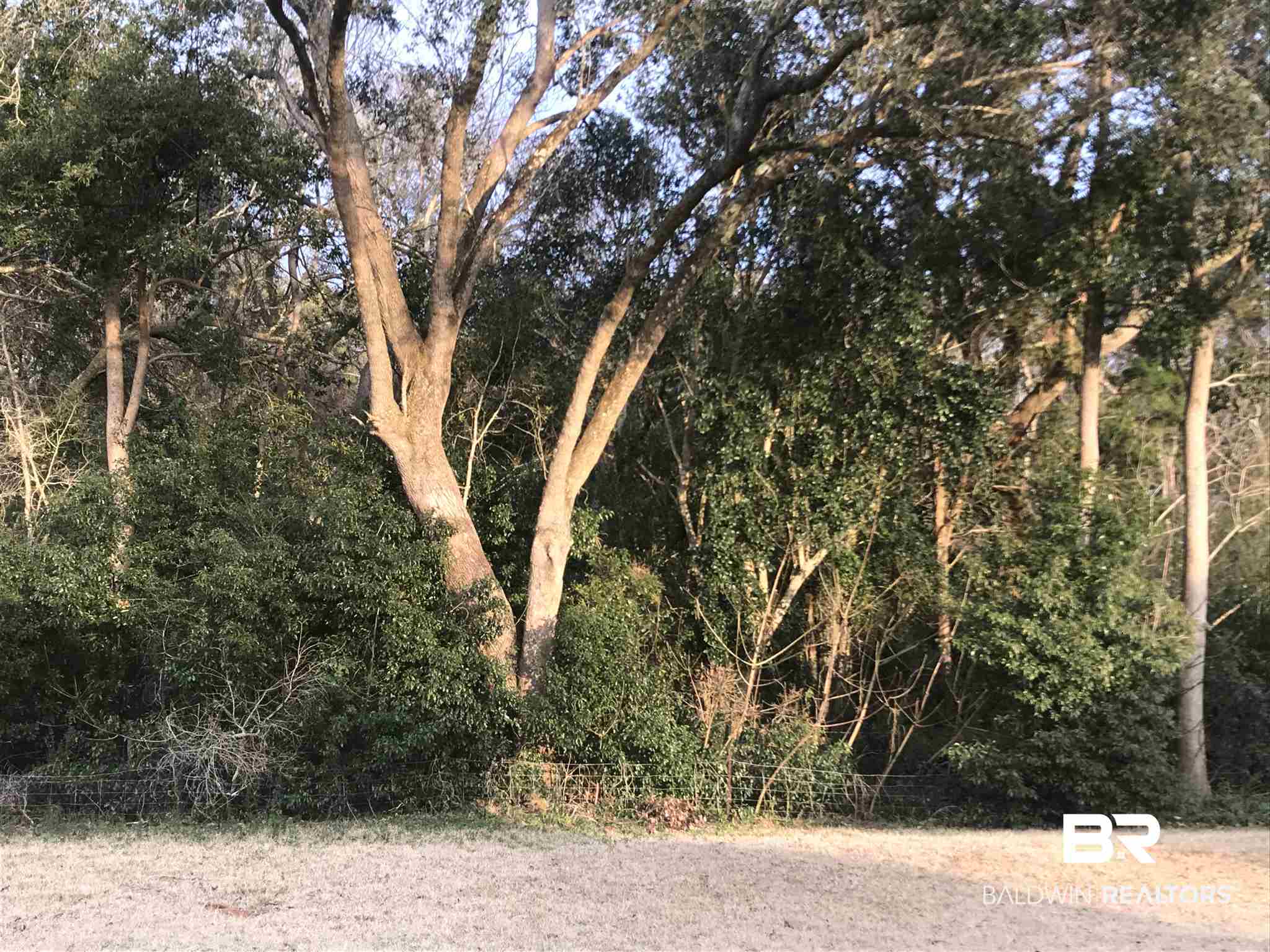 446 Craftsman Avenue Fairhope, AL 36532 - Photo 41 of 44 Back Yard View