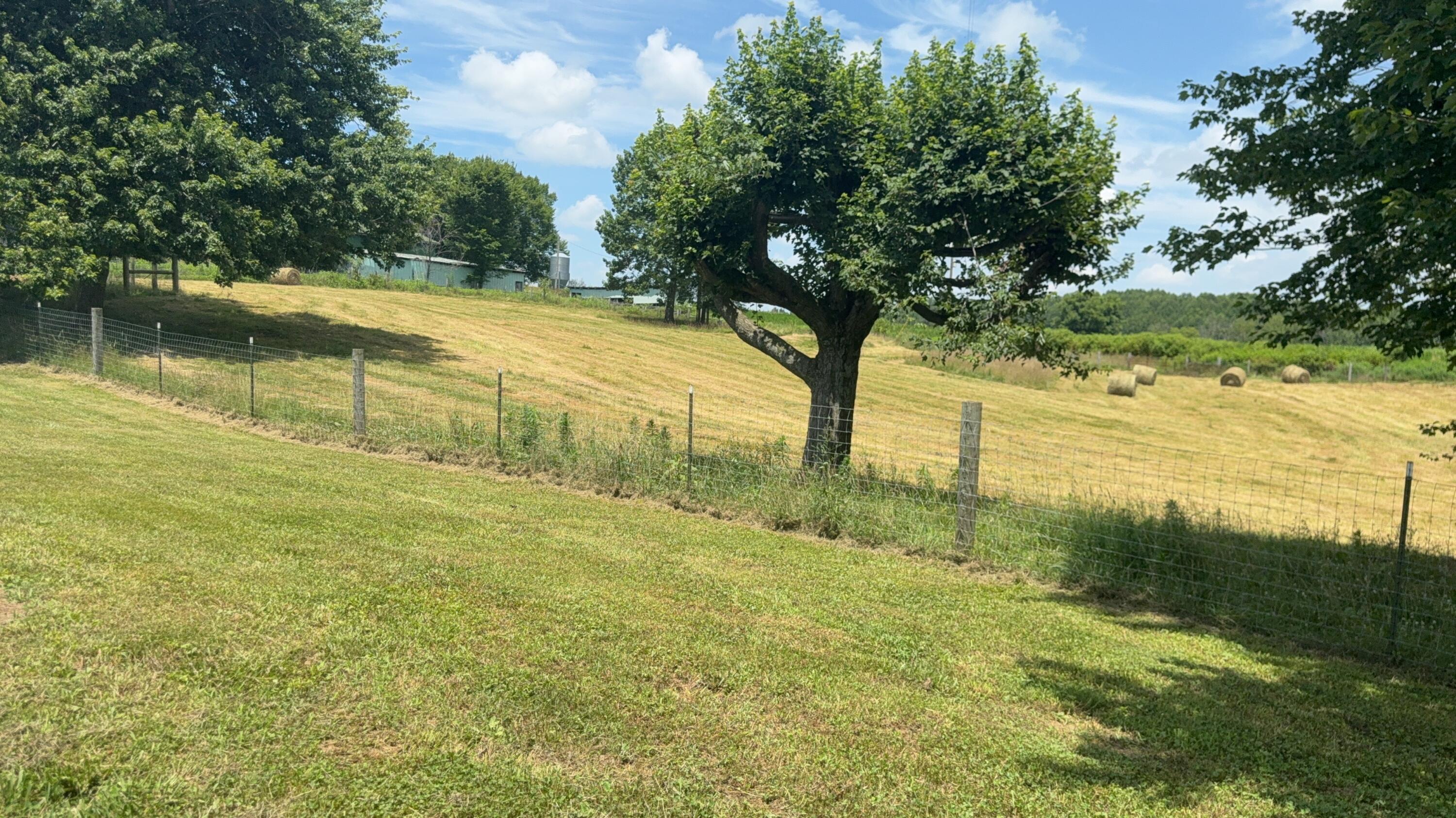 979 Walnut Grove School Road Waynesburg, KY 40489 - Photo 24 of 57 IMG_2540