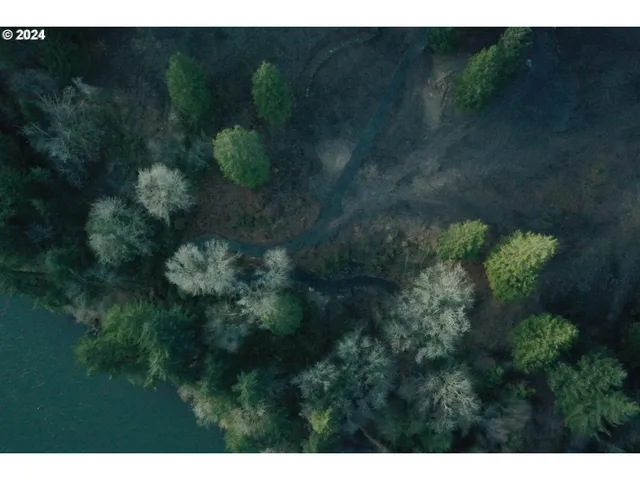 a view of a green yard