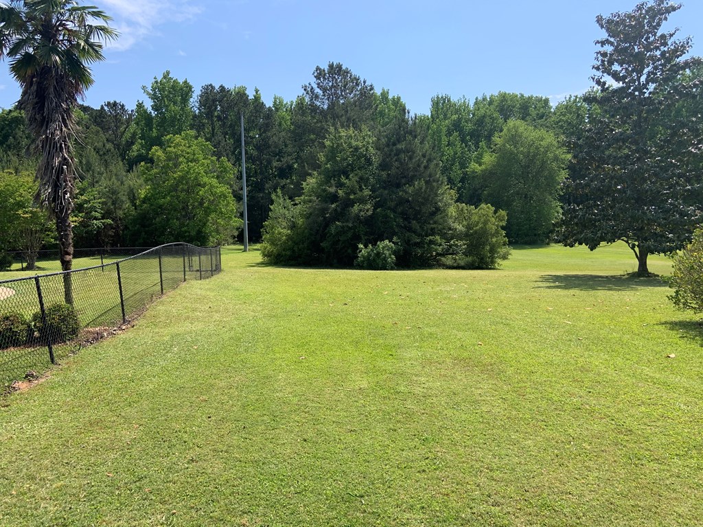 7707 Midland Road Midland, GA 31820 - Photo 11 of 34 Gallery Image 11