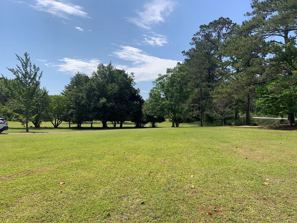 7707 Midland Road Midland, GA 31820 - Photo 12 of 34 Gallery Image 12