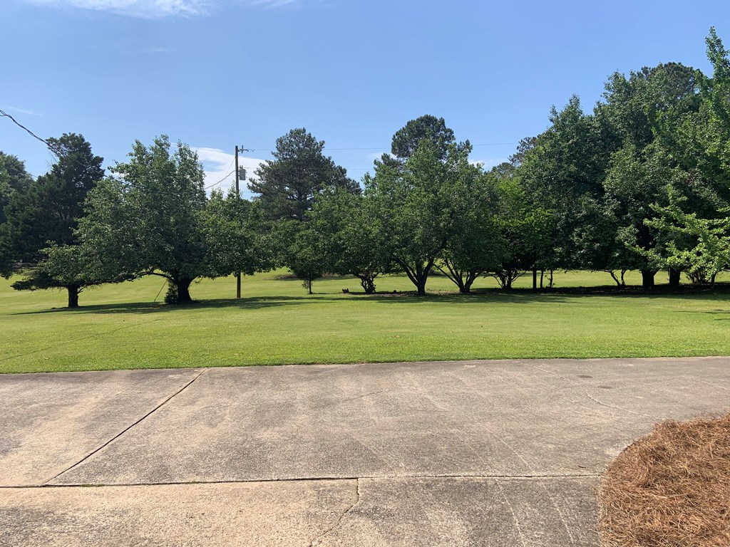 7707 Midland Road Midland, GA 31820 - Photo 13 of 34 Gallery Image 13