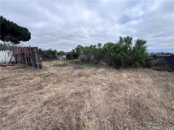 a view of a dry yard with wooden fence