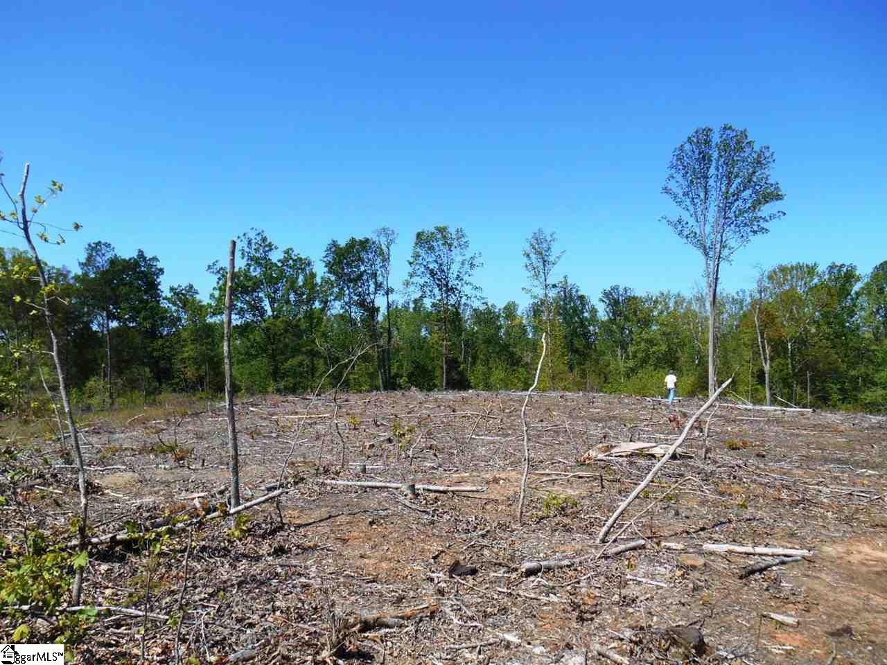 0 Jerome Bailey Road Gray Court, SC 29645 - Photo 1 of 6 Gallery Image 1