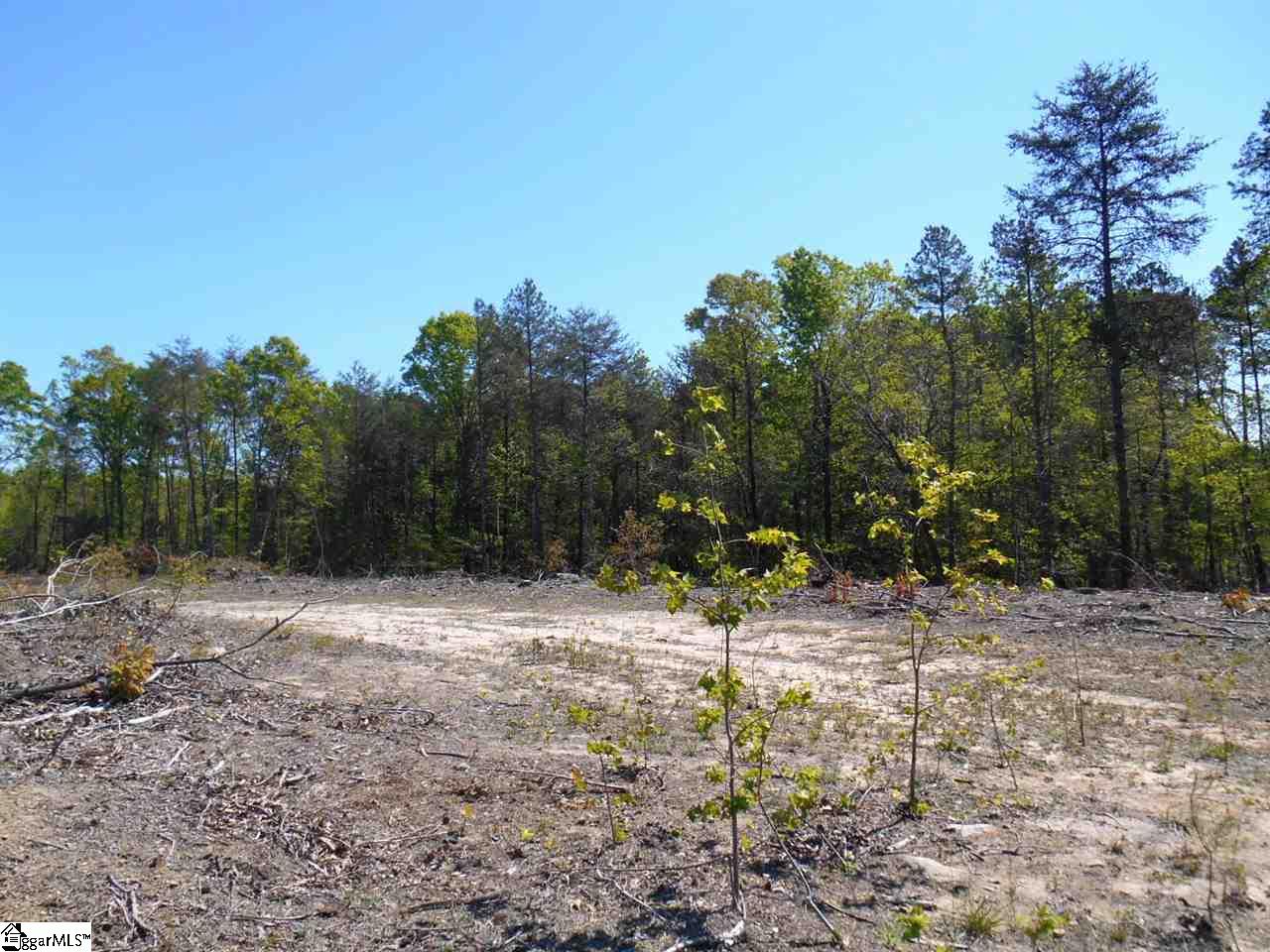 0 Jerome Bailey Road Gray Court, SC 29645 - Photo 2 of 6 Gallery Image 2
