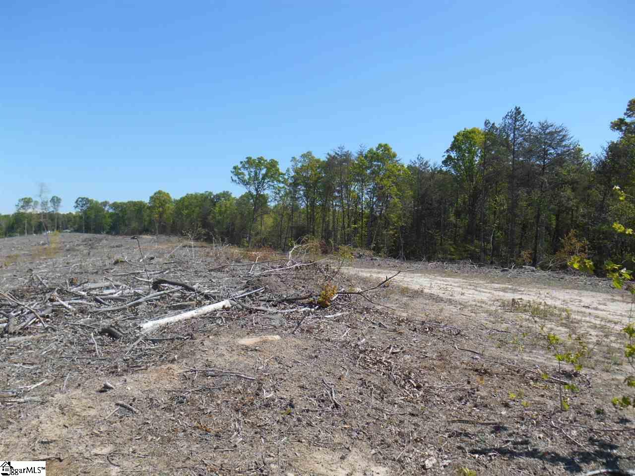 0 Jerome Bailey Road Gray Court, SC 29645 - Photo 3 of 6 Gallery Image 3
